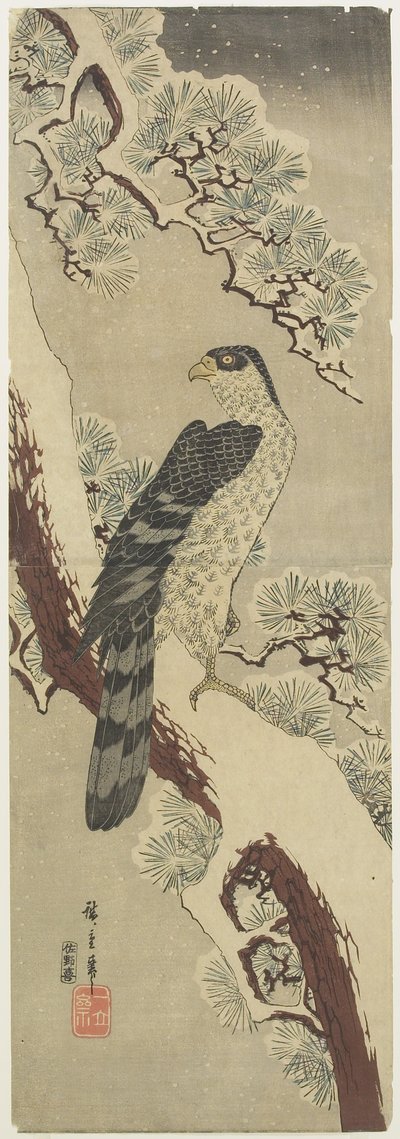 (Hawk on Pine Branch, Winter), 1800-luvun alku tekijältä Utagawa Hiroshige