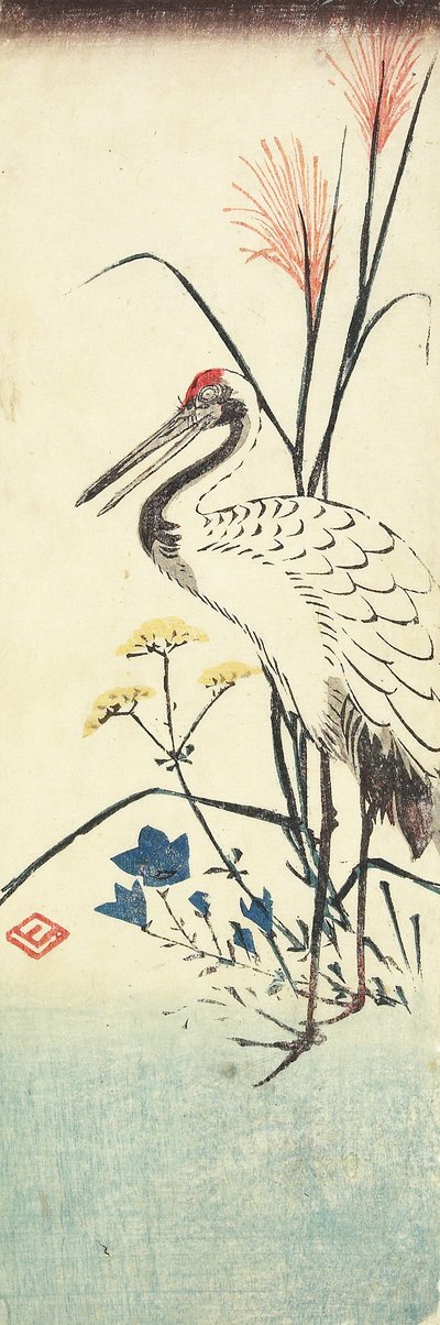 (Pampas Grass, Patrinia, kiinalainen kellokukka ja kurkku), 1830-1858 tekijältä Utagawa Hiroshige