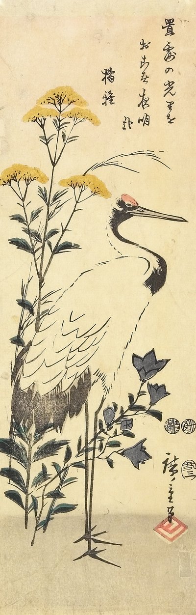 (Patrinia, kiinalainen kellokukka ja kurkku), maaliskuu 1853 tekijältä Utagawa Hiroshige