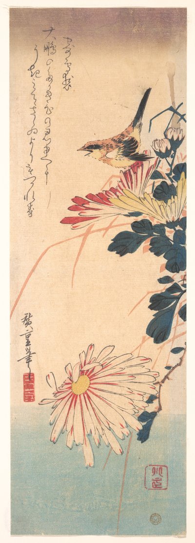 Ein Zaunkönig und Chrysanthemen tekijältä Utagawa Hiroshige