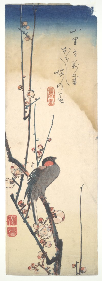 Lintu ja luumupuu tekijältä Utagawa Hiroshige
