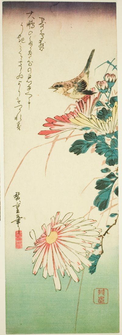 Lintu ja krysanteemit tekijältä Utagawa Hiroshige