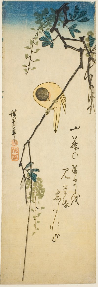 Lintu silkkisellä wisterialla tekijältä Utagawa Hiroshige