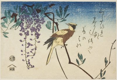 Mustanaped oriole ja wisteria tekijältä Utagawa Hiroshige
