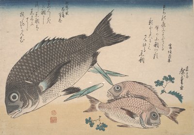Mustakampelaa, pientä merikampelaa, parsanversoja ja sansho-pippuria, n.1830. tekijältä Utagawa Hiroshige