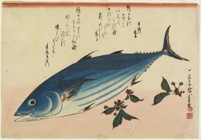Bonito ja kirsikkalehdet, 1832-1833 tekijältä Utagawa Hiroshige