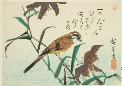 Sirkka ja liljat tekijältä Utagawa Hiroshige