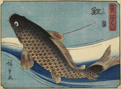 Karppi, 1830-1844 tekijältä Utagawa Hiroshige