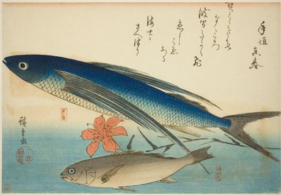 Lentävät kalat ja Ichimochi nimettömästä kalasarjasta tekijältä Utagawa Hiroshige