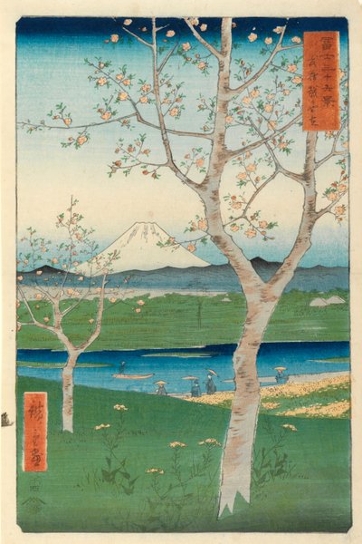 Fuji Koshigayasta, Mushashi, nro 14 sarjasta 