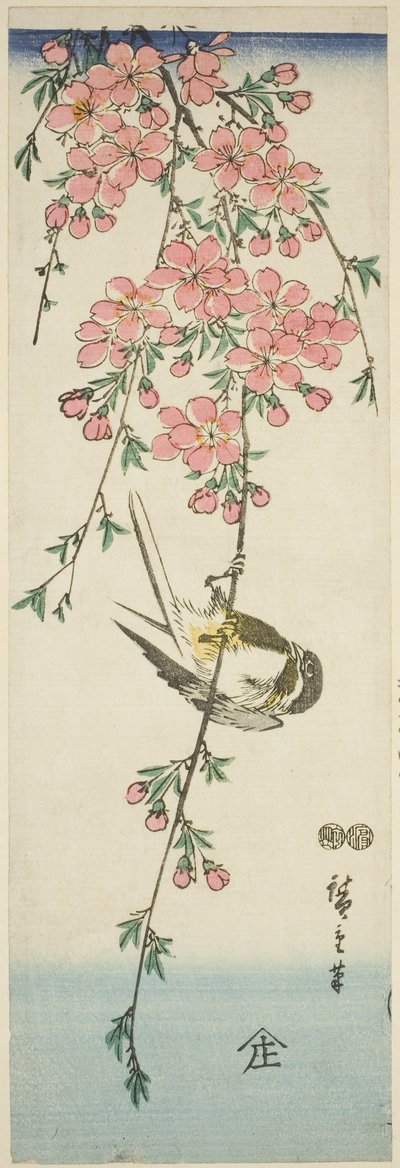 Talitiainen ja kirsikankukkia tekijältä Utagawa Hiroshige
