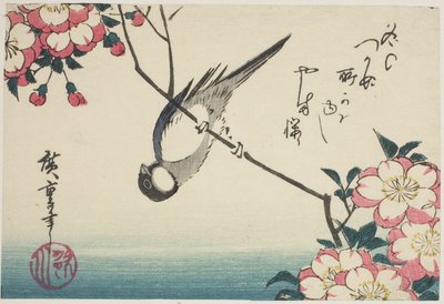 Talitiainen kirsikankukan oksalla tekijältä Utagawa Hiroshige