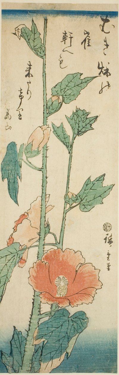 Hibiscus tekijältä Utagawa Hiroshige
