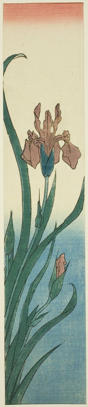 Iiris tekijältä Utagawa Hiroshige
