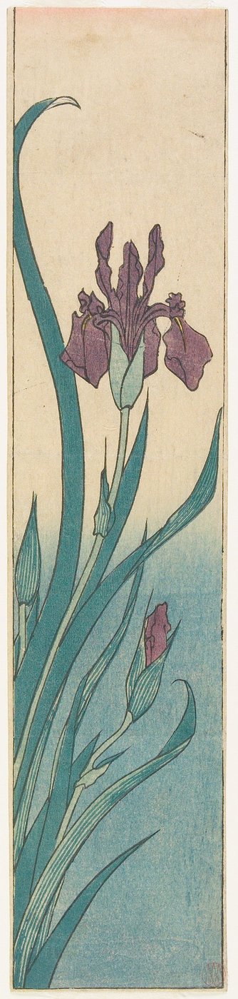 Iris tekijältä Utagawa Hiroshige