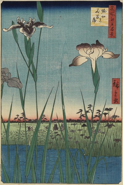 Iris Garden at Horikiri, May 1857 tekijältä Utagawa Hiroshige
