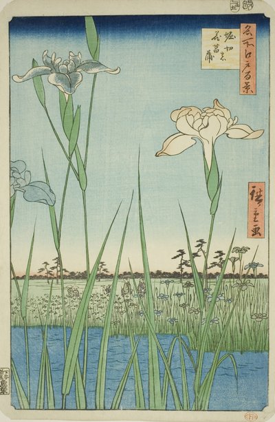 Irase s at Horikiri (Horikiri no Hanadokorobe), sarjasta "Ridge dre d fa net s view ws of Edo (Sata kuuluisaa näkymää Edoon)" tekijältä Utagawa Hiroshige