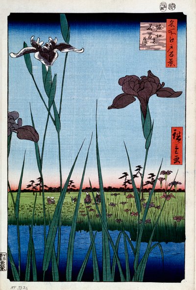 Irises Horikirissä Sata kuuluisaa näkymää Edosta, 1856-1858. tekijältä Utagawa Hiroshige