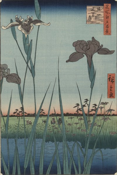 Irises of Horikiri, sarjasta Sata kuuluisaa Edon näkymää tekijältä Utagawa Hiroshige