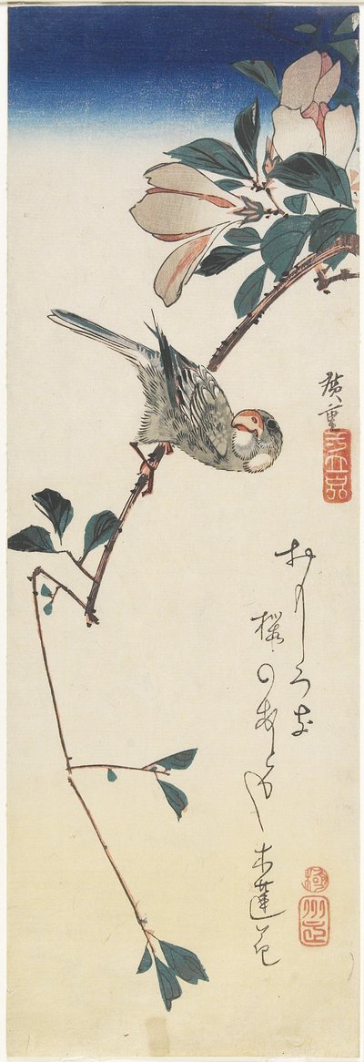 Java Sparrow ja Magnolia, 1834-1839 tekijältä Utagawa Hiroshige