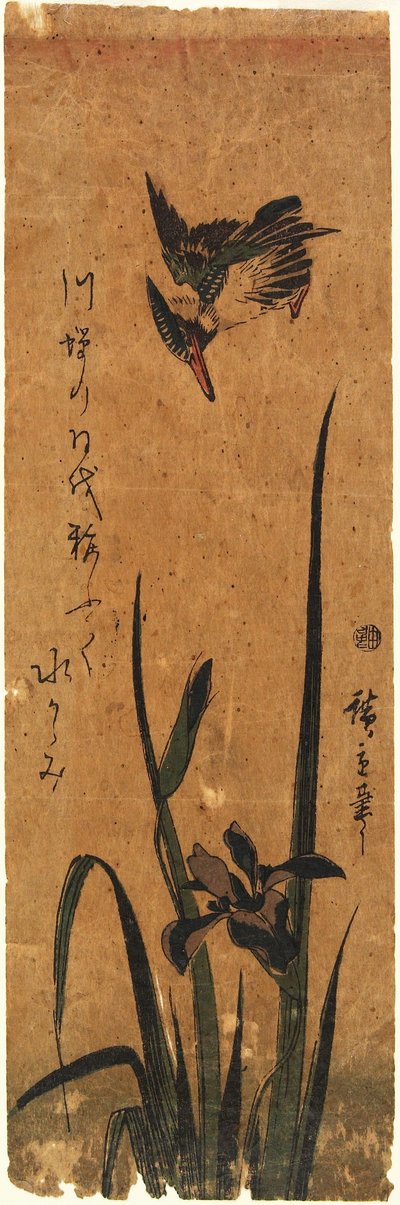 Eisvogel und Iris tekijältä Utagawa Hiroshige