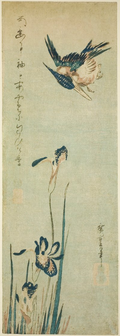 Kingfisher ja iiris tekijältä Utagawa Hiroshige