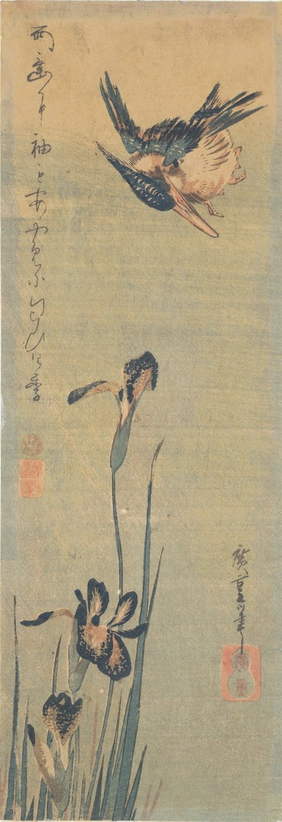 Kingfisher lentää iiriksen yli tekijältä Utagawa Hiroshige