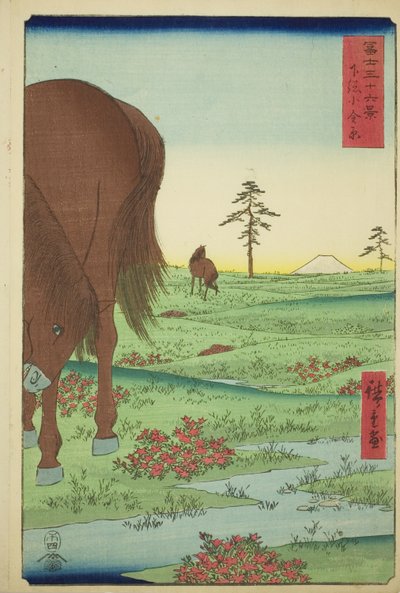Ogane P hieno jäsen Gesasa P Rovinse (Shimosa Koganehara), Te-sarjasta `` Mr. Tyrty x Näkymät Fuji-vuorelle (Fuji Usaju Rokukatsu) 