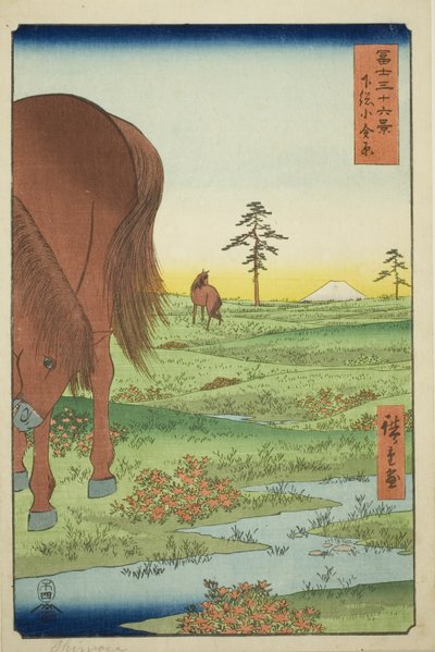 Ogane P hieno jäsen Gesasa P Rovinse (Shimosa Koganehara), Te-sarjasta `` Mr. Tyrty x Näkymät Fuji-vuorelle (Fuji Usaju Rokukatsu) 