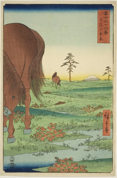Ogane P hieno jäsen Gesasa P Rovinse (Shimosa Koganehara), Te-sarjasta `` Mr. Tyrty x Näkymät Fuji-vuorelle (Fuji Usaju Rokukatsu) 
