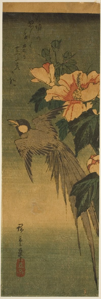 Pitkähäntälintu ja hibiscus tekijältä Utagawa Hiroshige
