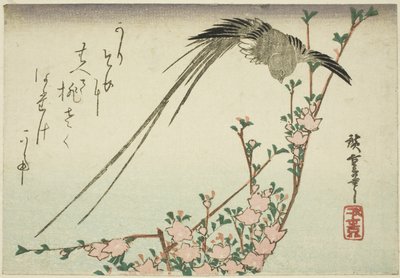 Pitkähäntälintu ja persikankukkia tekijältä Utagawa Hiroshige
