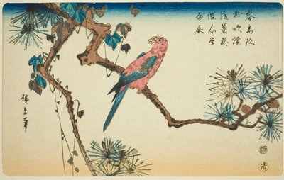 Ara männyn oksalla tekijältä Utagawa Hiroshige