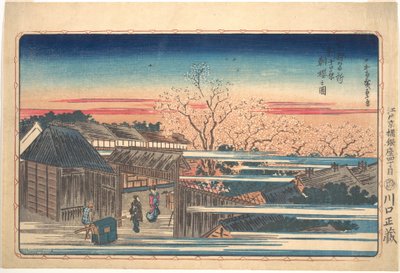 Aamuiset kirsikankukat Shin-Yoshiwarassa tekijältä Utagawa Hiroshige