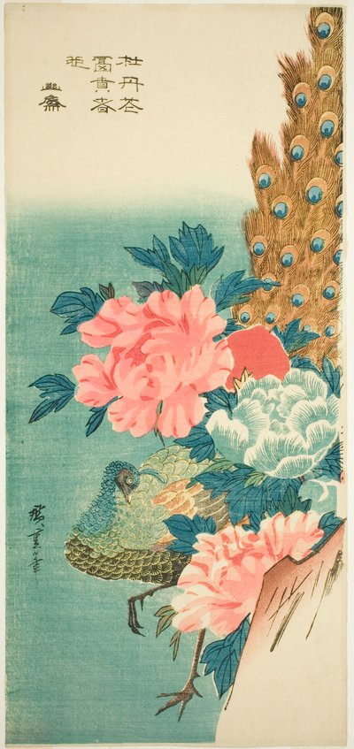 Riikinkukko ja pionit tekijältä Utagawa Hiroshige