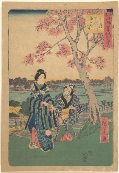 Luumunkukkien katselu kolmantena kuukautena Sumidajoella sarjasta "Vuotuisia tapahtumia itäisen pääkaupungin kuuluisissa paikoissa" (Tōto meisho nenjū gyōji sangatsu sumitagawa waka mōde) tekijältä Utagawa Hiroshige