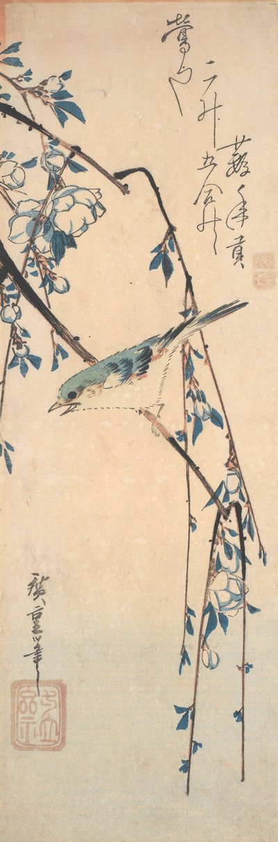 Punainen sinihäntä kirsikanoksalla tekijältä Utagawa Hiroshige