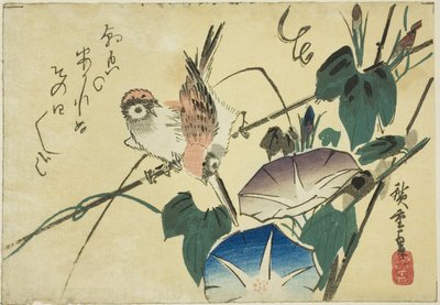 Varpuset ja aamun loistot tekijältä Utagawa Hiroshige