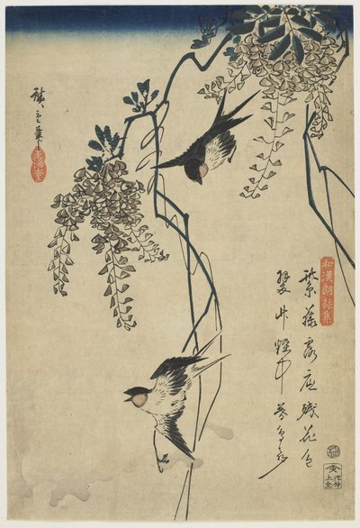 Pääskyset lentävät Wisteria Vinesin läpi, 1837-44 (värillinen puupainatus) tekijältä Utagawa Hiroshige