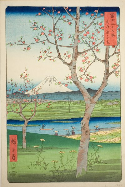 Koshigayan esikaupunki Musashin maakunnassa (Musashi Koshigaya zai), sarjasta "Kolmekymmentäkuusi näkymää Fuji-vuorelle (Fuji sanjurokkei)" tekijältä Utagawa Hiroshige