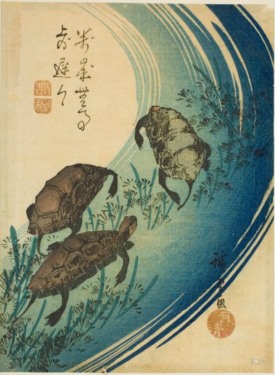 Kilpikonnat uimassa purossa tekijältä Utagawa Hiroshige