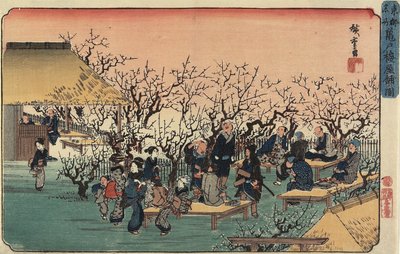Näkymä Luumupuutarhasta Kameidossa, 1832-1834 tekijältä Utagawa Hiroshige