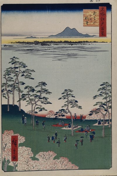 Näkymä pohjoiseen Asukayamasta Sata kuuluisaa näkymää Edosta, 1856-1858 tekijältä Utagawa Hiroshige
