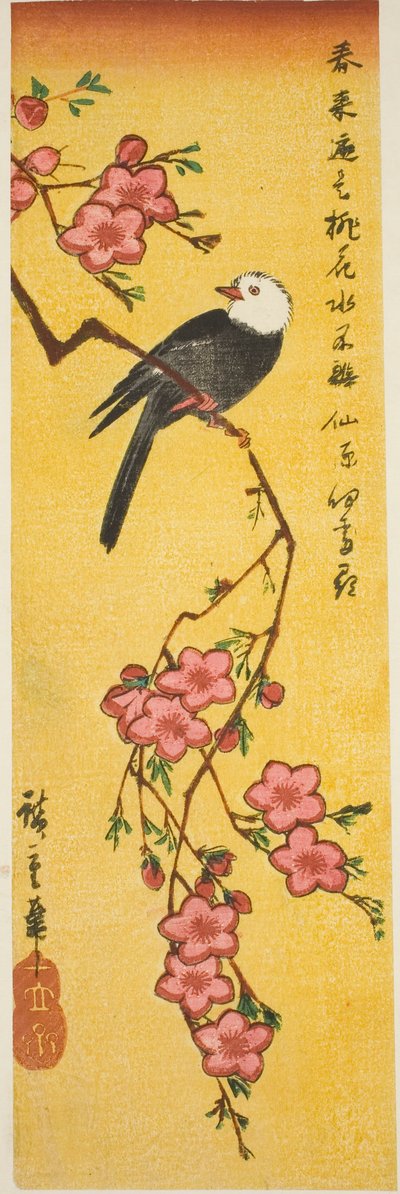 Valkopäinen lintu persikan oksalla tekijältä Utagawa Hiroshige