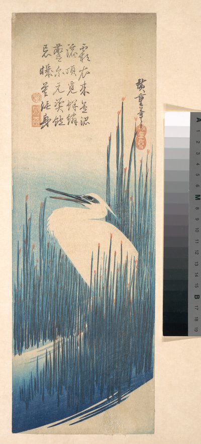 Valkoinen haikara seisomassa kaislikossa tekijältä Utagawa Hiroshige