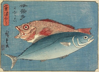 Keltapyrstö ja kalliokala, 1830-1844 tekijältä Utagawa Hiroshige