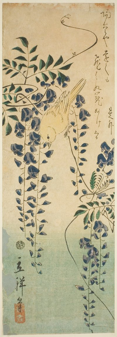 Kanaria ja wisteria tekijältä Utagawa Hiroshige II