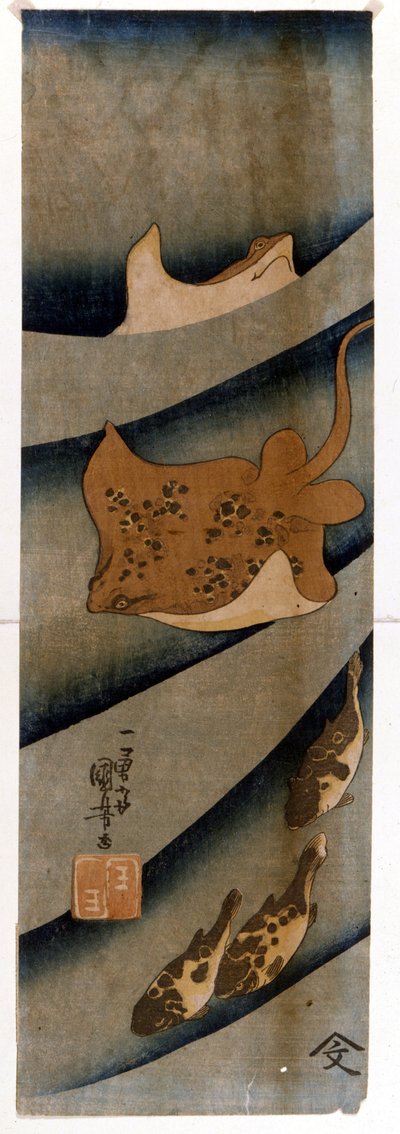 Utagawa KUNIYOSHIn (1797-1861) vedoksia, jotka kuvaavat kaloja. tekijältä Utagawa Kuniyoshi