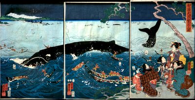 Seitsemän rannikon kukoistaminen isojen kalojen kanssa (Nana ura tairyō hanjō no zu) tekijältä Utagawa Kuniyoshi