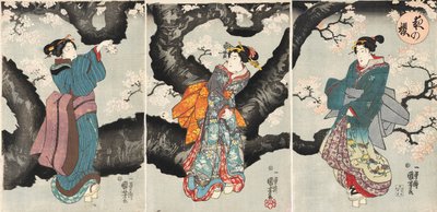 Yoru no sakura [Cherry Blossoms at Night], n. 1846 (puupainatus) tekijältä Utagawa Kuniyoshi